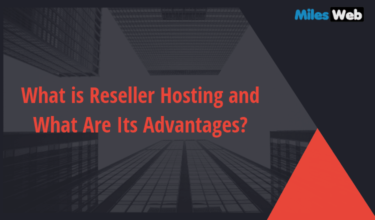 What Is Reseller Hosting And What Are Its Advantages