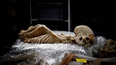 Pre Historic People Relished Bone