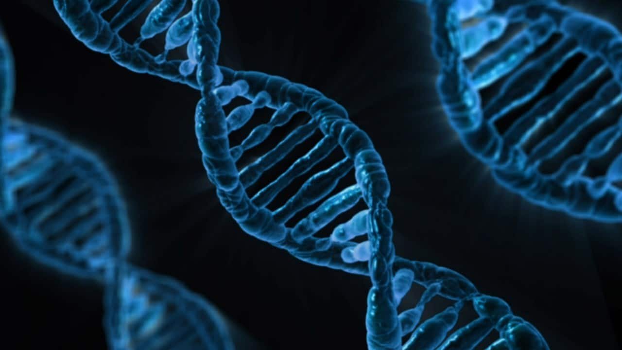 D N A Data Reveals Extra Marital Sex