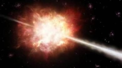 Highest Energy Light From A Gamma Ray Burst