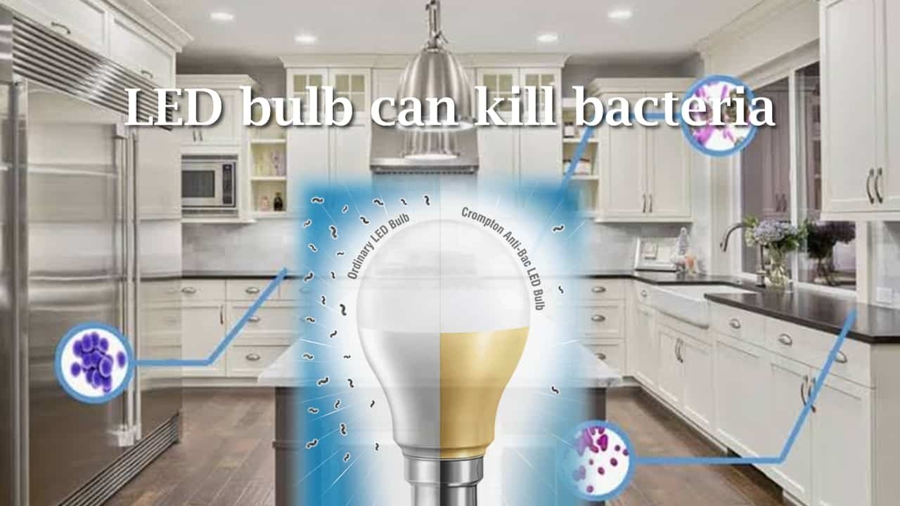 L E D Bulb Can Kill Bacteria