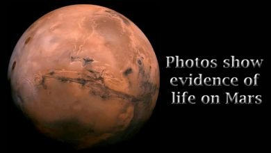 Photos Show Evidence Of Life On Mars