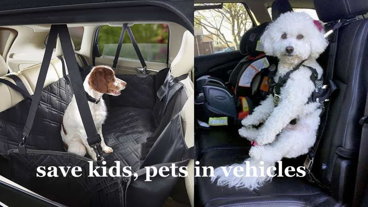 Save Kids, Pets In Vehicles