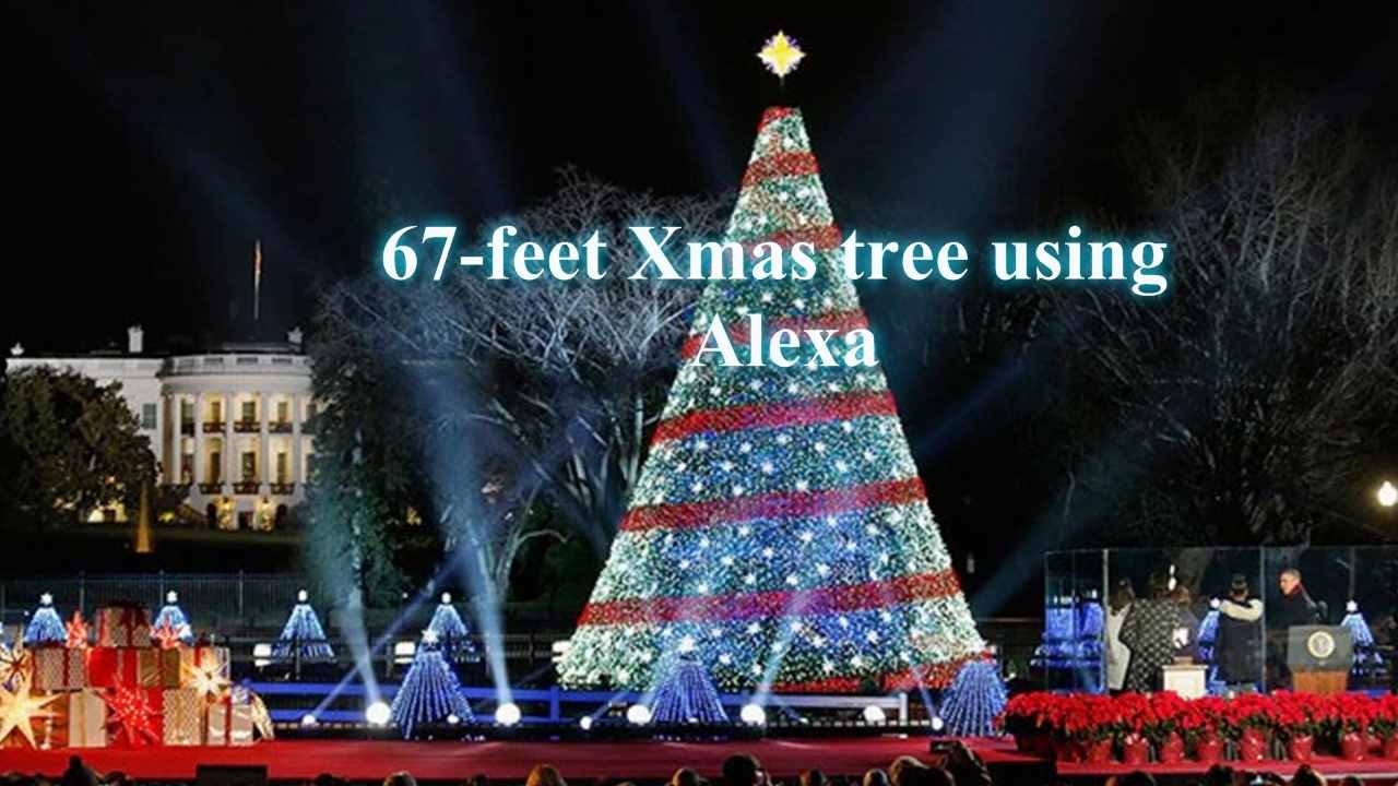 Mumbaikar Lights 67 Feet Xmas Tree Using Alexa