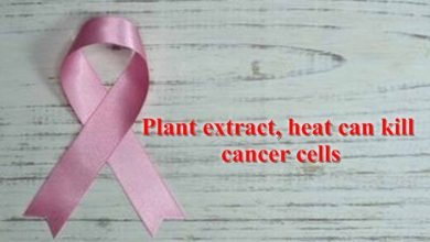 Plant Extract, Heat Can Kill Cancer Cells