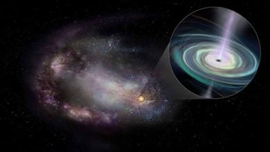 13 Massive Black Holes In Dwarf