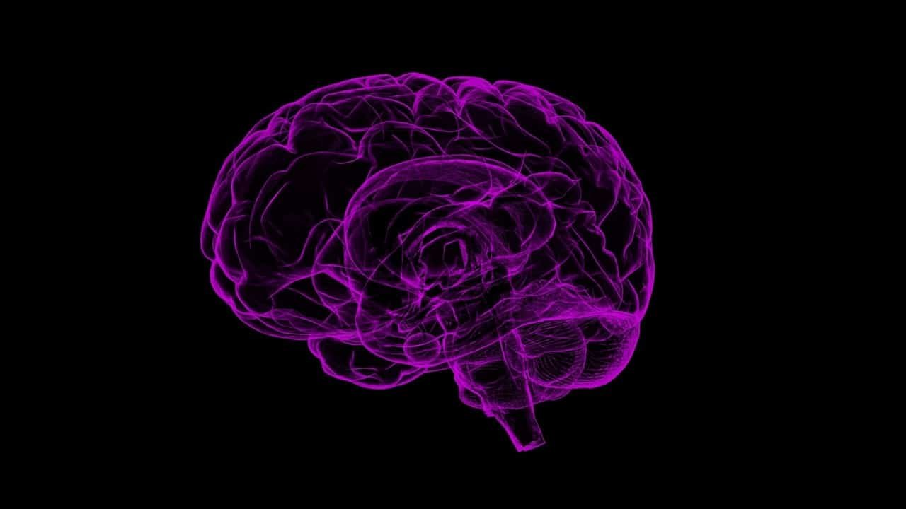 B M I And A I Startup Brain Co Eyes Expansion