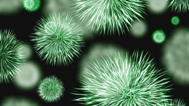 Indoor Dust Bacteria Have Transferrable Antibiotic