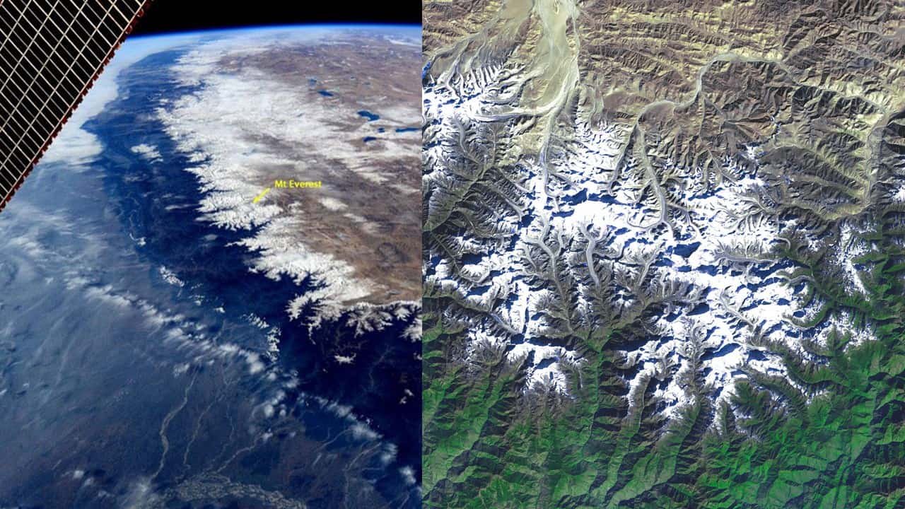 N A S A Satellite Reveals More Plants Are Growing