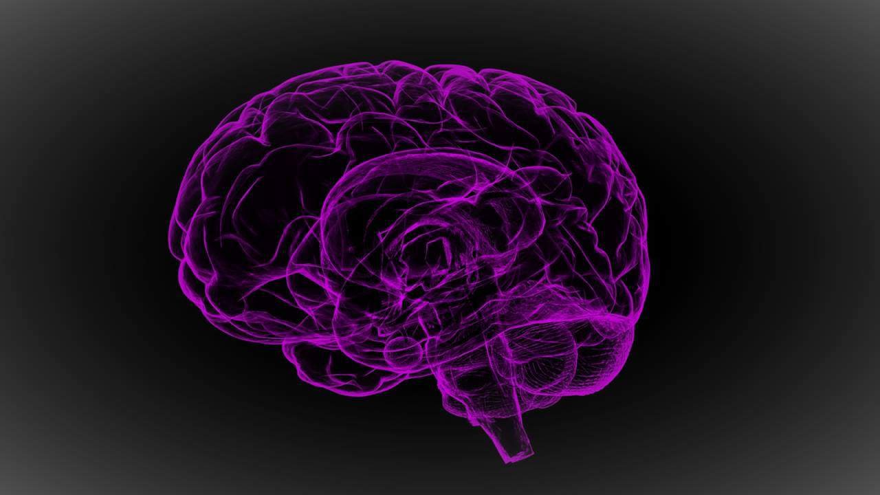 Researchers Found How Brain Balances Pleasure And Pain