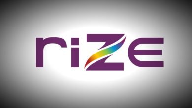 Indian American's 3 D Firm R I Z E Partners