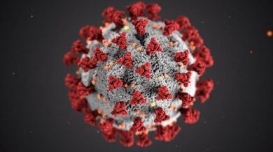 Coronavirus Toll Crosses 700 Health Ministry