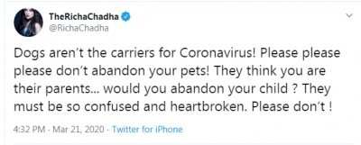 Covid 19 Bollywood Urges People Not To Abandon Pets