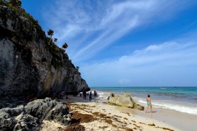 Endangered Animals Sighted In Mexican Caribbean