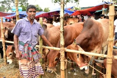 Ensure Movement Of Animal Fodder Home Ministry Tells States