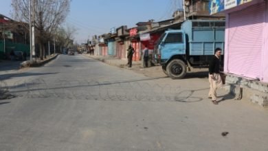 Hc Orders Closure Of All Courts In Jk Ladakh