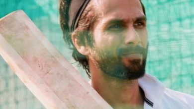 Shahid Kapoor To Be Seen In An Action Film After Jersey