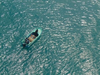 Stranded Indian Sailors Off Uae Coast Appeal For Help