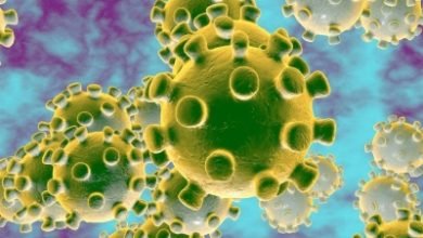Three Fresh Cases Of Coronavirus Reported In Visakhapatnam
