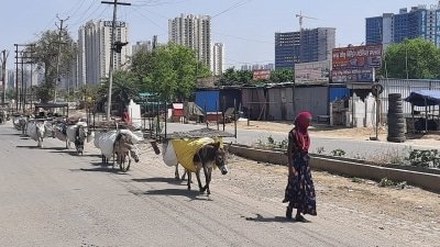 With No Transport Migrants Walking Back To Up Bihar Homes