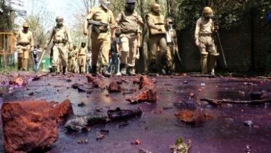 2 Lady Doctors Hurt In Stone Pelting In Indore