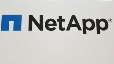 6 Ai Startups Selected For Sixth Cohort Of Netapp Excellerator