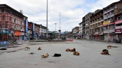 All Top Jk Offices Will Now Open In Srinagar On June 15