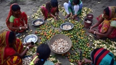 Amid Lockdown Betel Nuts Worth Rs 20 Lakh Looted In Delhi