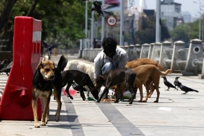 Covid 19 Hydbad Students Turn Lifesavers For Campus Strays Wildlife