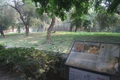 Delhi Zoo Makes In House Arrangements For Feeding Its Inmates