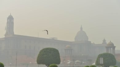 Delhis Air Quality May Worsen Due To Western Dust Storms