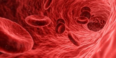 India To Explore Blood Plasma Therapy For Corona Patients