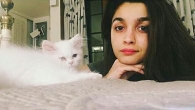 Lockdown Diaries Alia Bhatt The Baker Dishes Out A Cute Kitchen Pic