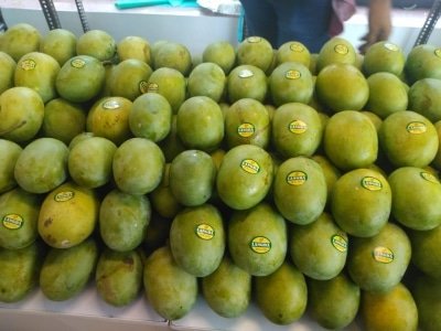 Mango Growers To Incur Unprecedented Losses