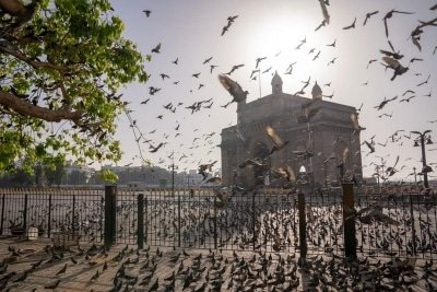 Mumbai Covid 19 Cases Take A Mega Leap In 10 Days