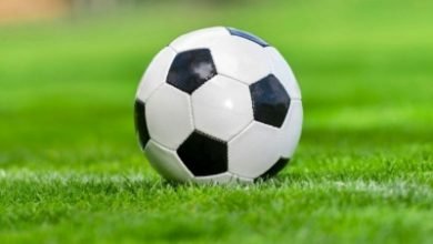 Netherlands Halt Football League Season No Champion