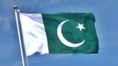 Pakistan Running Propaganda Against India On Social Media