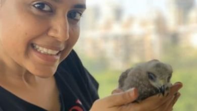 Swara Bhasker Rescues Black Kite Names It Changez