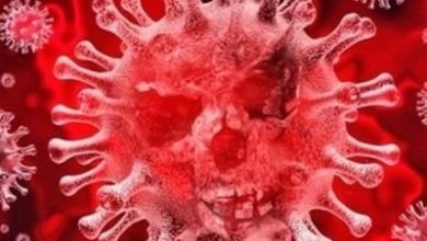Three More Die Of Coronavirus In Andhra Toll Rises To 20
