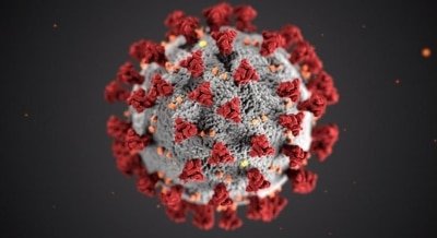 Top Mp Bureaucracy Courts Coronavirus Go Into Isolation