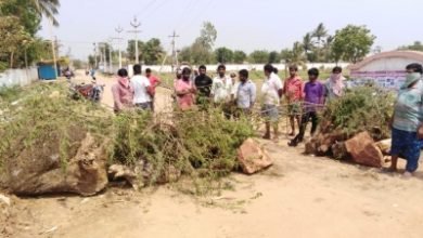 Villagers Show The Way Win Accolades In Fight Against Coronavirus