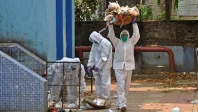 800 To 1000 Kg Bio Medical Waste Generated Everyday In Haryana