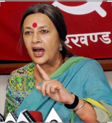 Brinda Karat Moves Delhi Hc In Connection With Delhi Riots