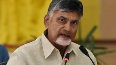 Chandrababu Naidu Urges Pm To Rope In Experts For Health Assessment Of Gas Victims