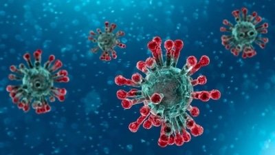 Coronavirus May Remain Active In High 40s C For 6 12 Hours