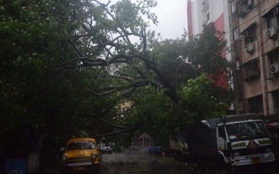 Cyclone Amphan Wreaks Havoc In Bengal