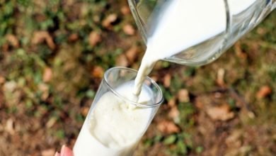 Dairy Rich Diet Lowers Diabetes High Blood Pressure Risk