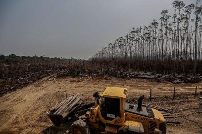 Deforestation In Brazils Amazon Rose Sharply Last Month