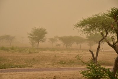 Dust Storm Heavy Rains Lashes Delhi Ncr
