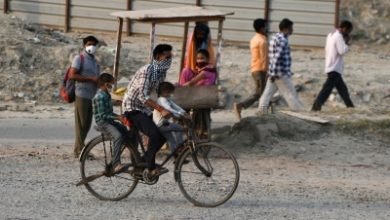 Haryana Reverses The Wheel Labourers Set To Return From Villages To Factories Ians Special